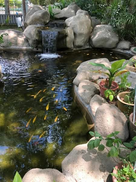 Additional image 9 of 437 Tanjong Katong Road