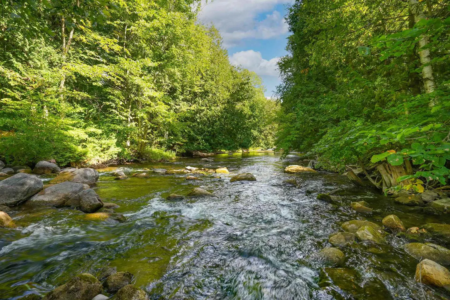 Additional image 18 of 1 Pine River Crescent