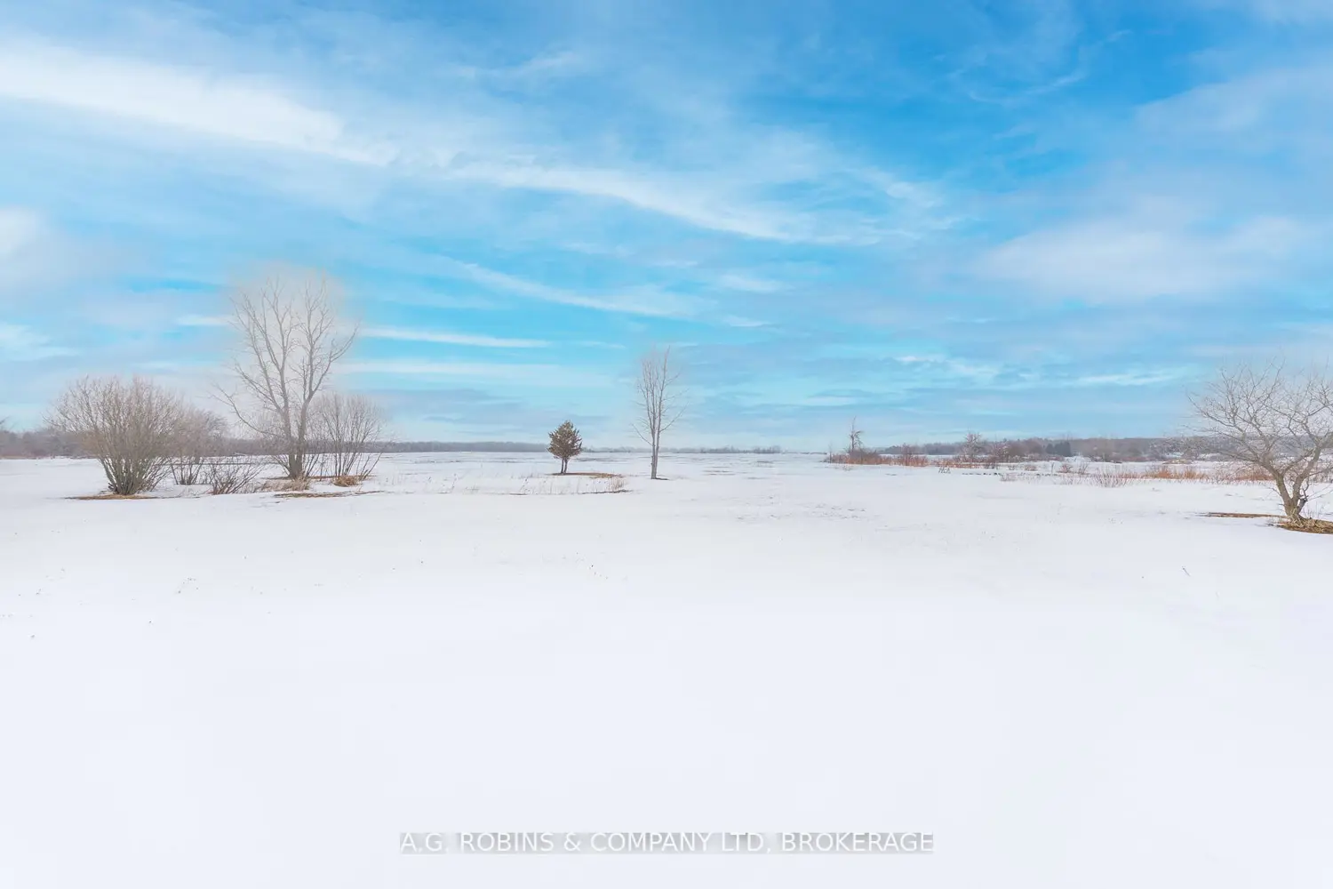 Additional image 9 of 11716 Lakeshore Road