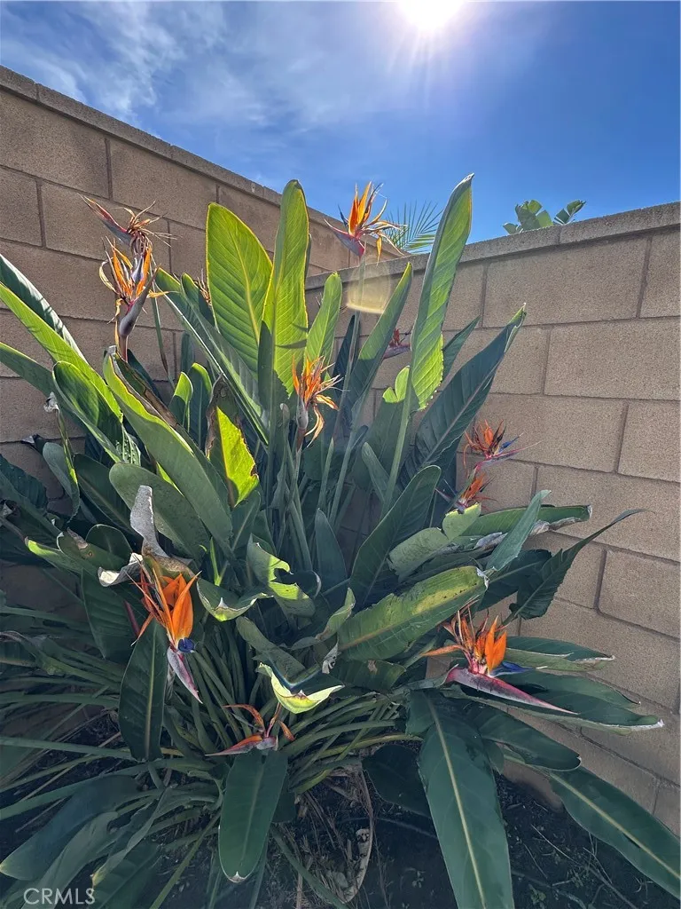 Additional image 54 of 4845 S Starry Night Ln, Ontario, CA 91762