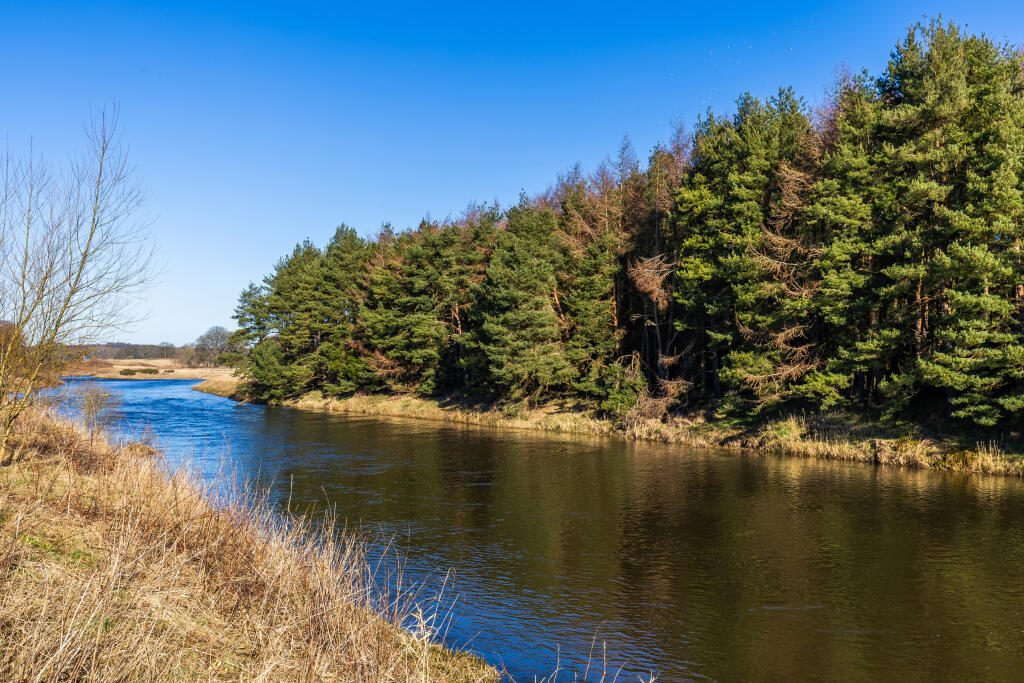 Additional image 12 of Riverview Drive, 
Dyce, 
Aberdeen, 
Aberdeen City, 
AB21 7LD