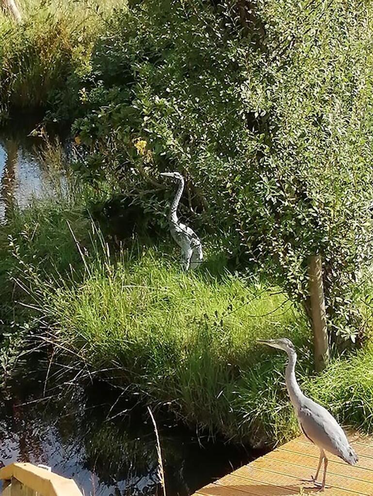Additional image 26 of Bridge Of Gairn, Ballater, AB35