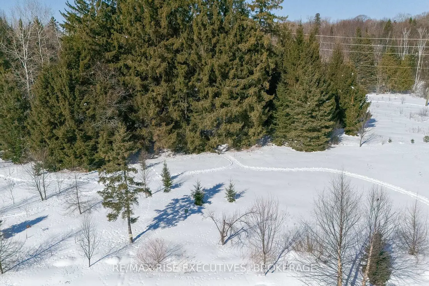 Additional image 17 of 7 Autumn Lane 4