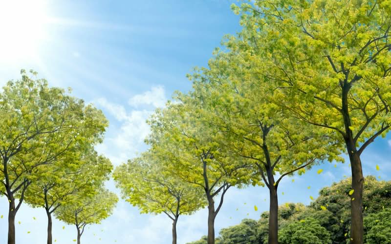 Additional image 50 of 27 Terrasse Lane