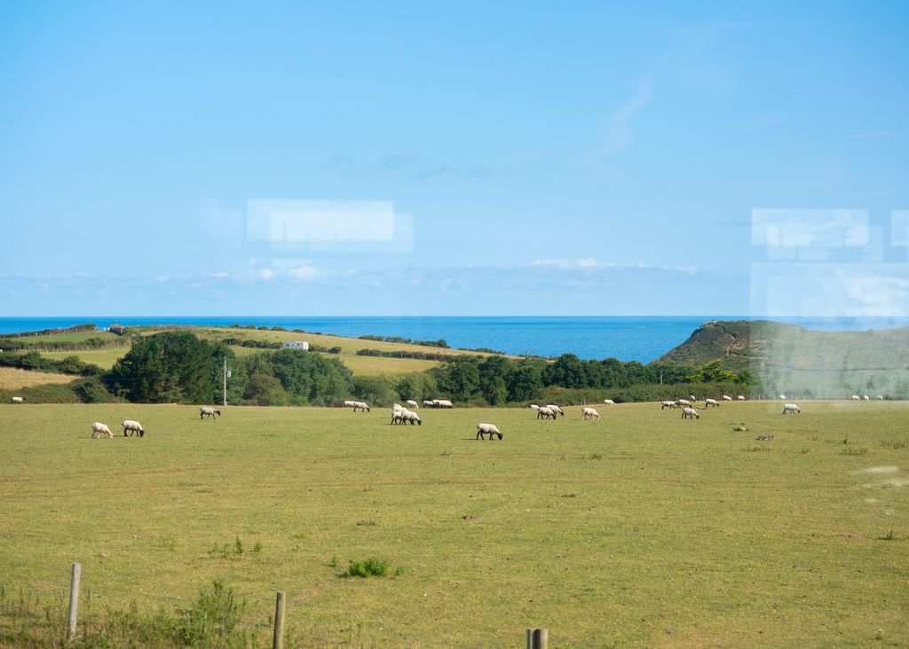 Land for salePorteath Bee Centre, St Minver PL27 photo 2