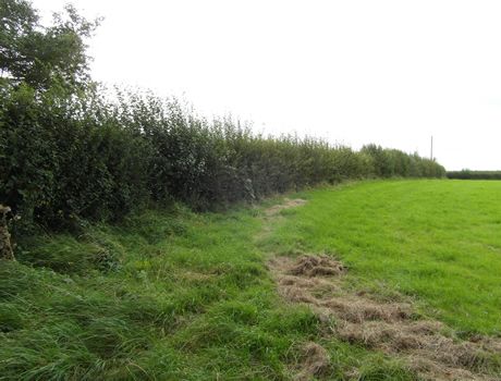 Additional image 5 of Land for saleRushmead Lane Upper South Wraxall, Bradford-On-Avon BA15