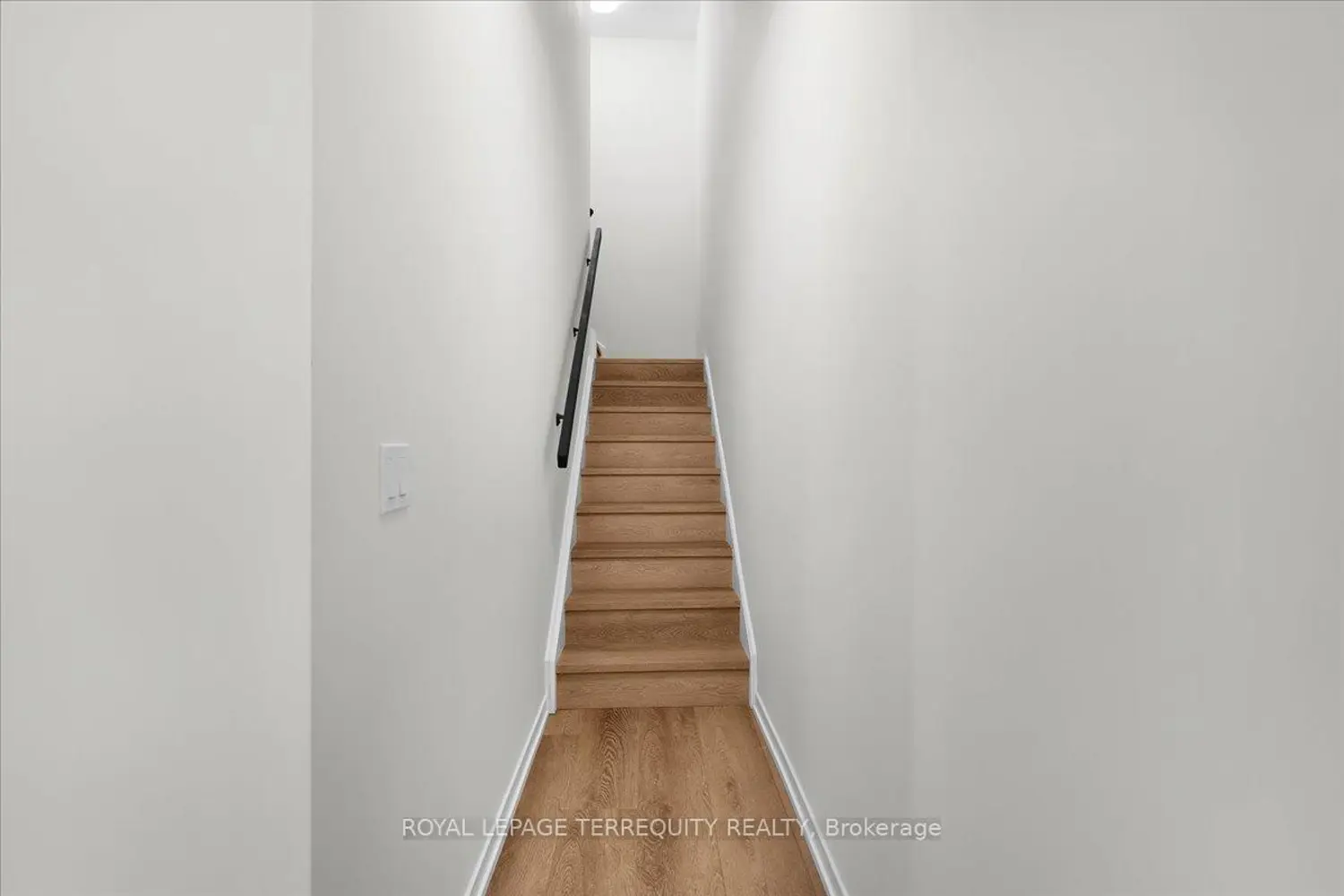 Additional image 18 of 38 Kingbird Common