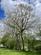 Additional image 16 of Near Llanrothal , Monmouth NP25