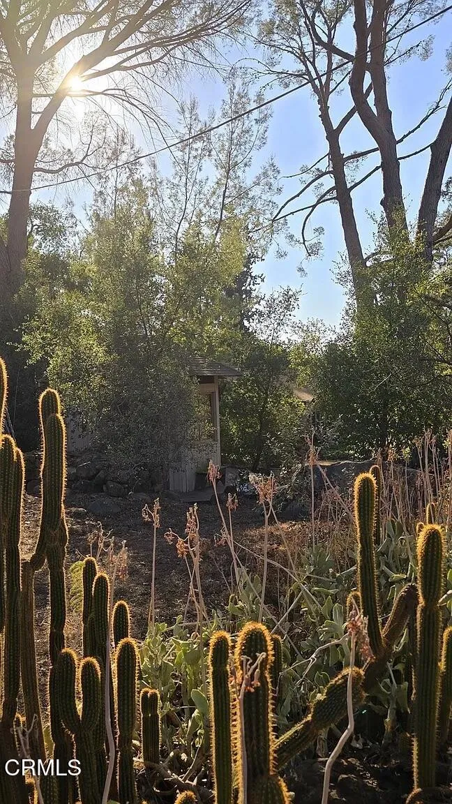 Additional image 109 of 1450 McAndrew Road, Ojai, CA 93023