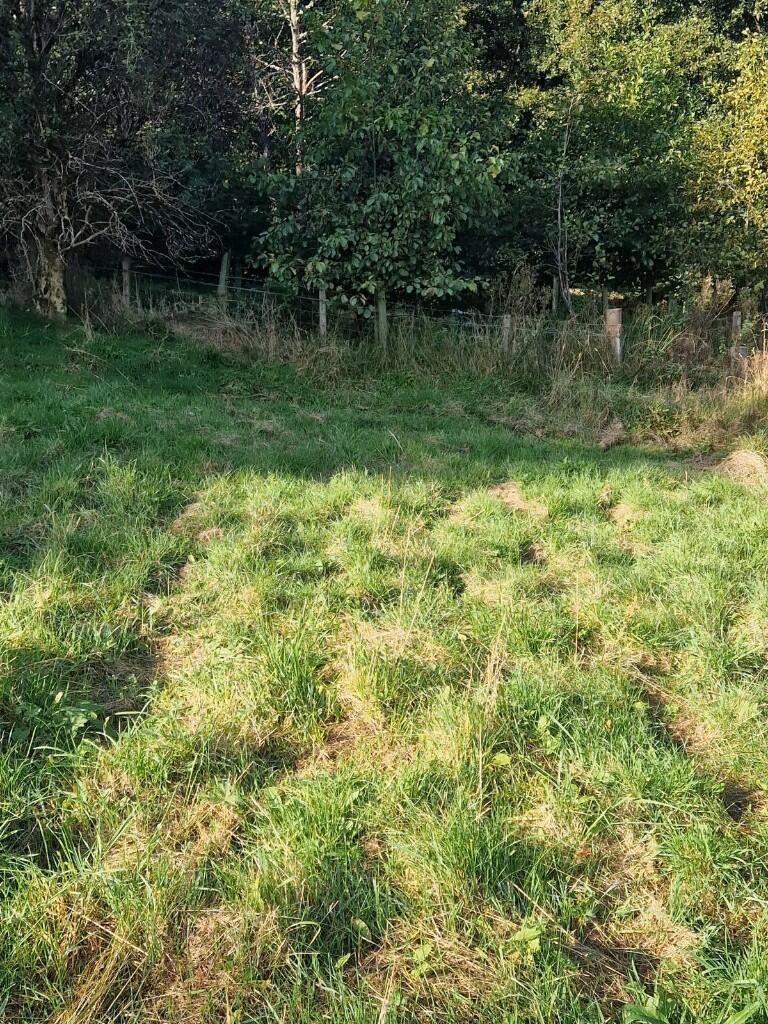 Additional image 4 of Building Plot At Hillside House, Rothes, Aberlour, Moray, AB38 7AQ
