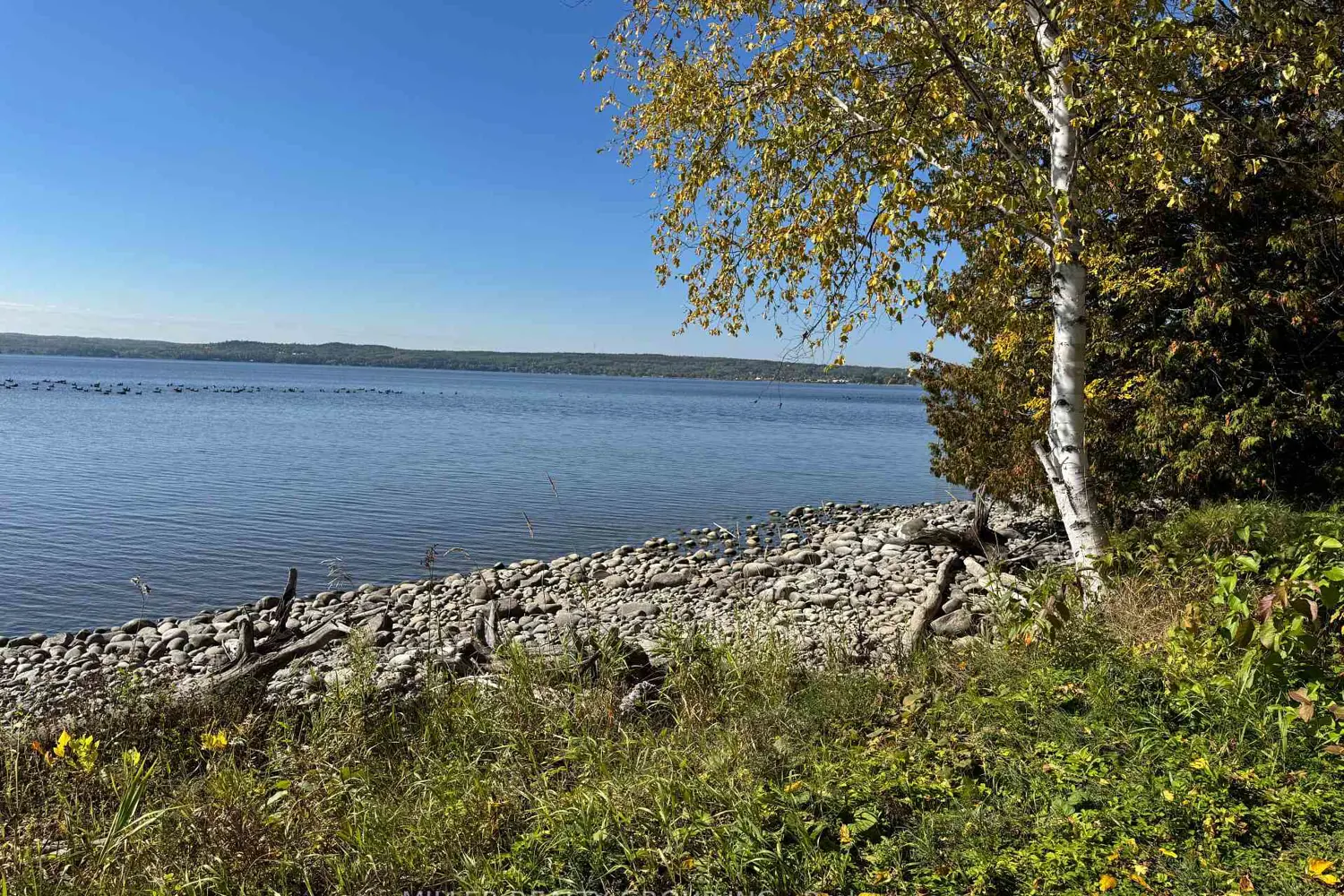 Additional image 16 of 692 Dawson Point Road