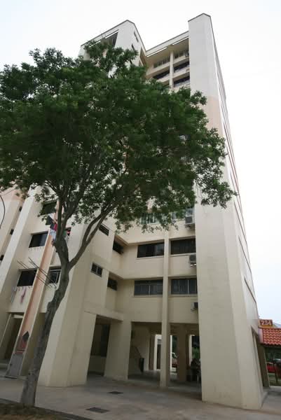 Additional image 10 of 234 Jurong East Street 21