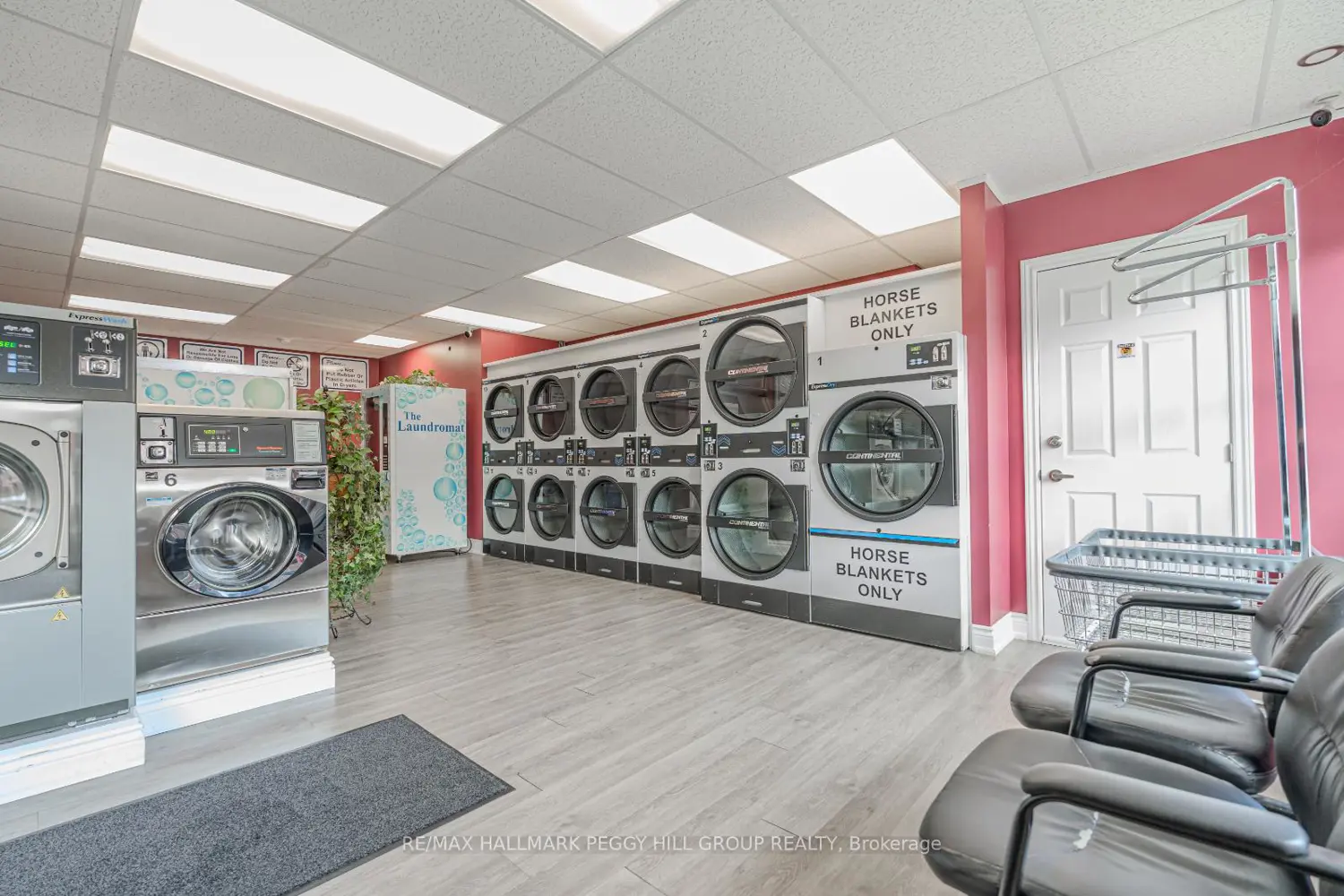 Additional image 4 of 30 Queen Street