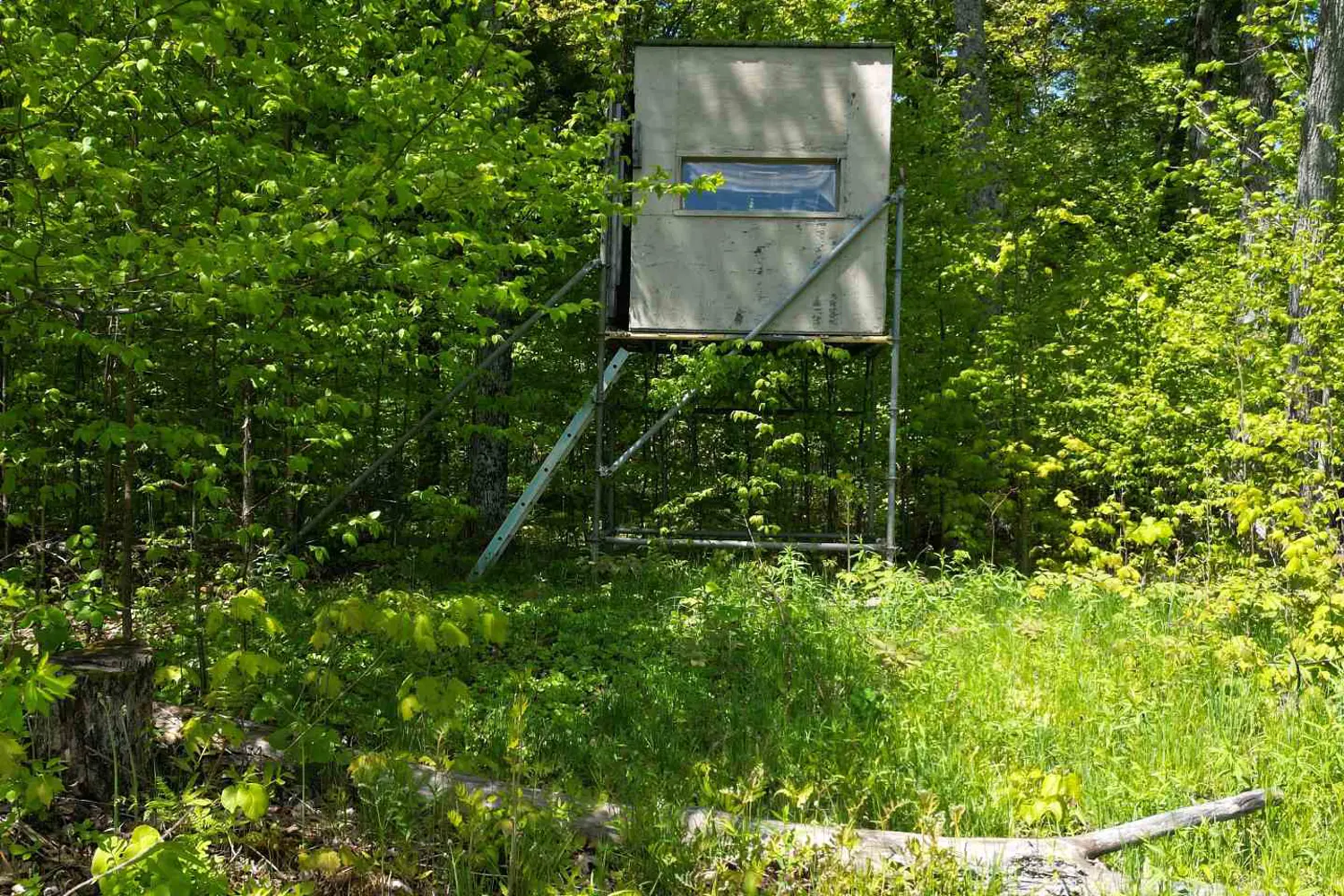 Additional image 10 of 791 Clear Lake Road, Parry Sound Remote Area