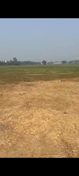 Additional image 2 of Frazer Road, Patna