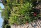 Additional image 41 of St. Andrews Close, Swansea SA3