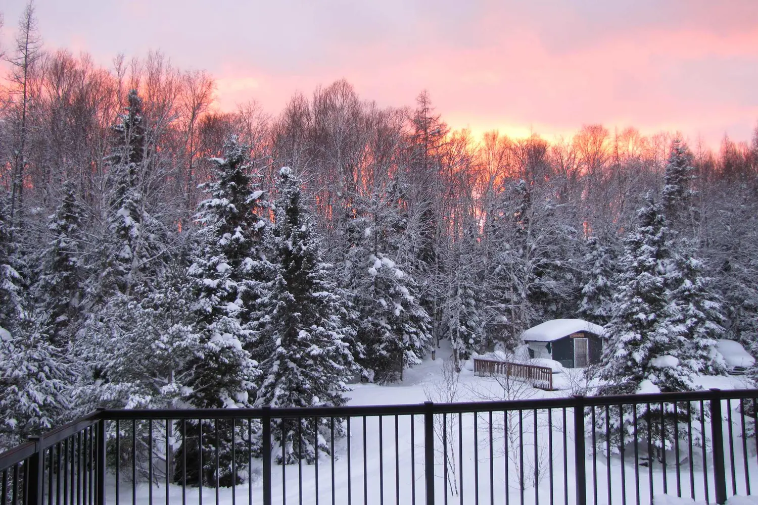 Additional image 2 of 57 Rattray Road