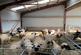 Additional image 16 of Broadwath, Brampton, Carlisle, Cumbria, Heads Nook CA8
