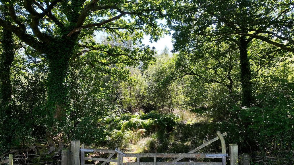 Additional image 3 of Land for salePengwern Common, Gower SA2