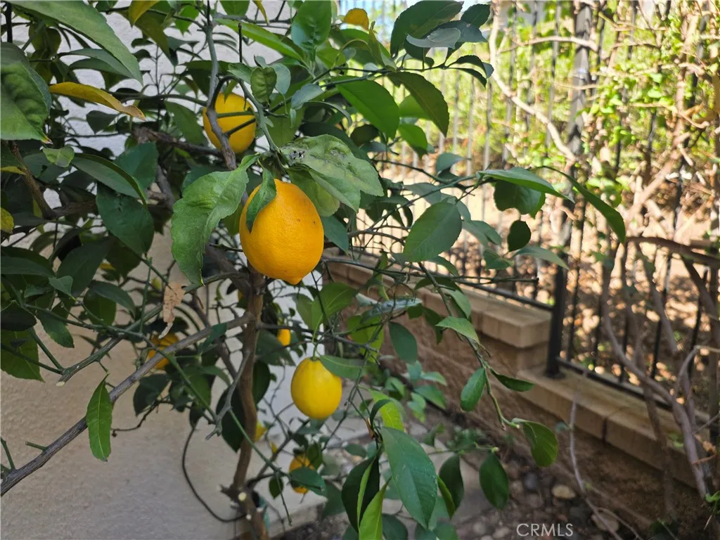 Additional image 15 of 116 Firefly, Irvine, CA 92618