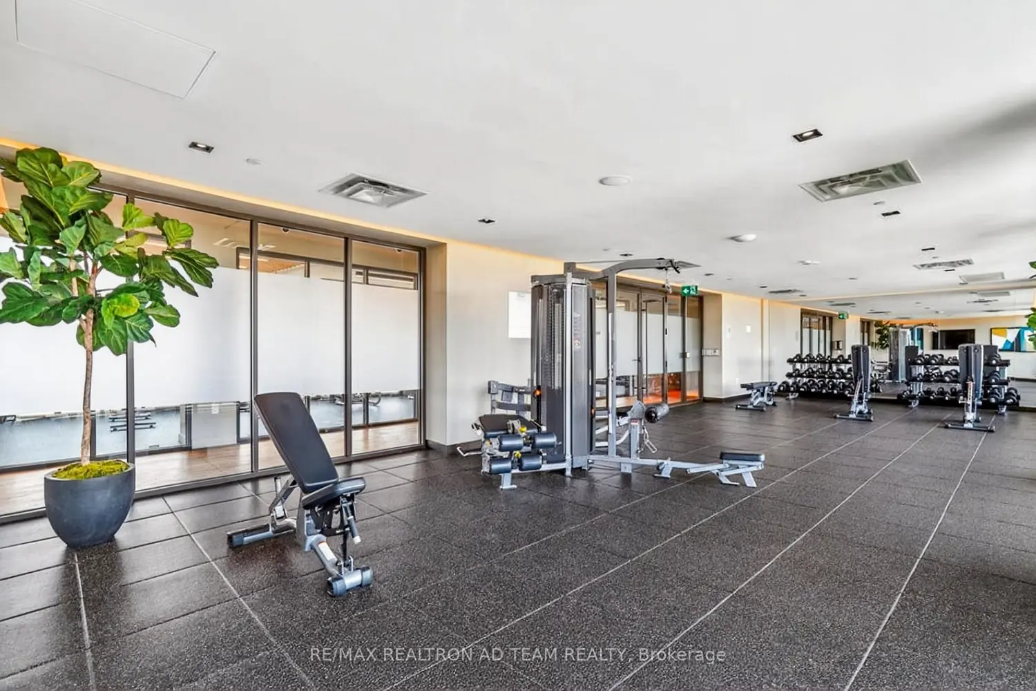 Additional image 16 of 10 Honeycrisp Crescent 717