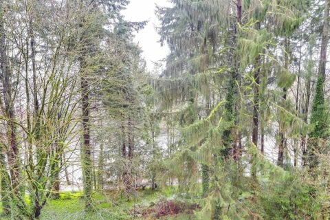 Additional image 7 of 402-2024 Fullerton Avenue, North Vancouver, BC, V7P 3G4