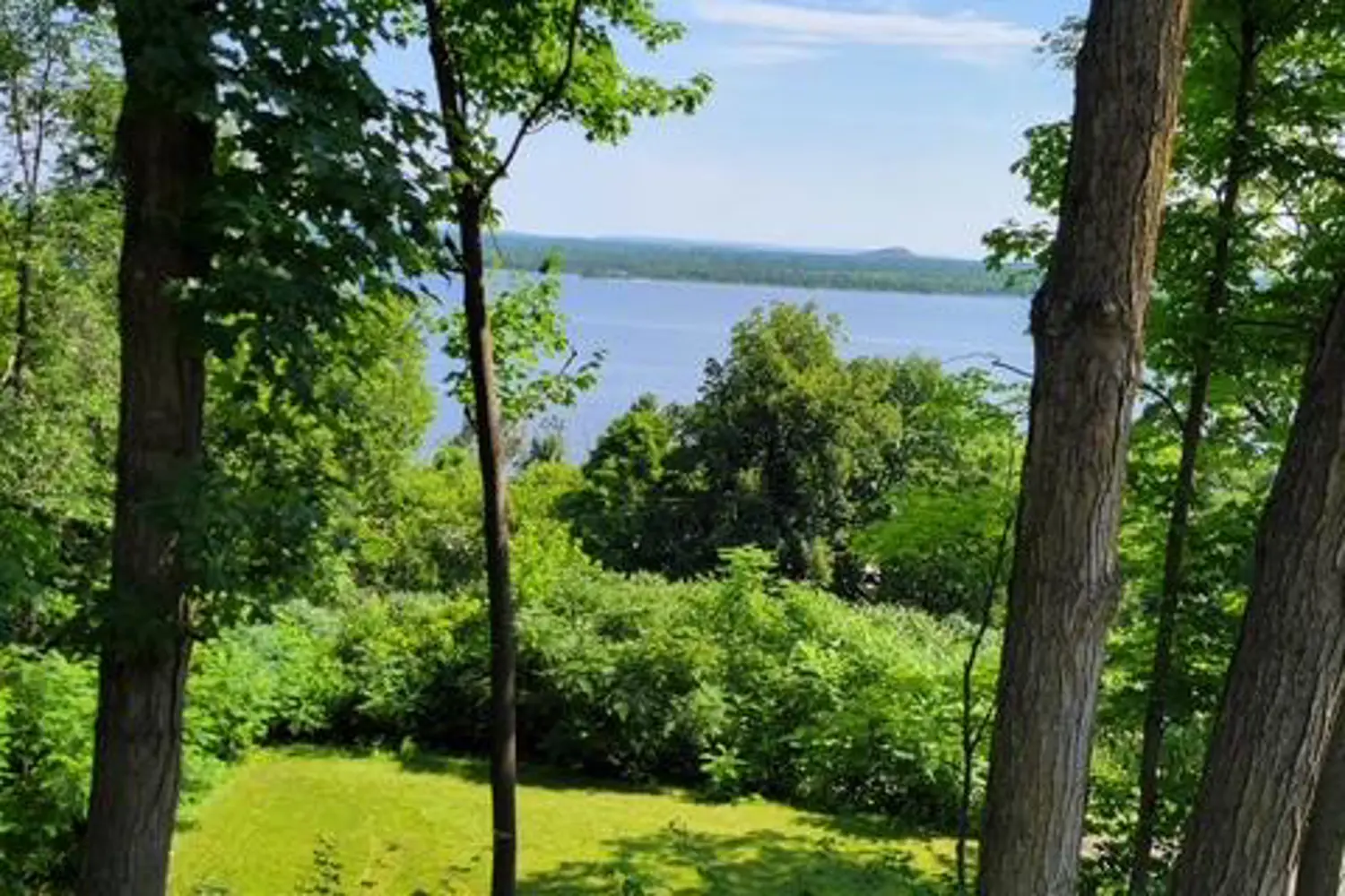 Additional image 17 of 731 Usborne Street