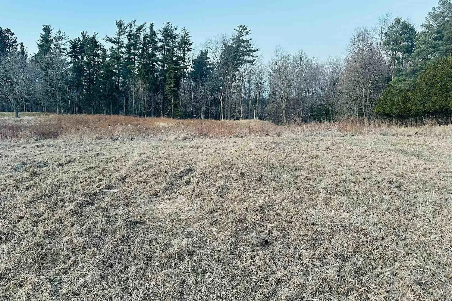 Additional image 5 of 10231 Old Pinecrest Road