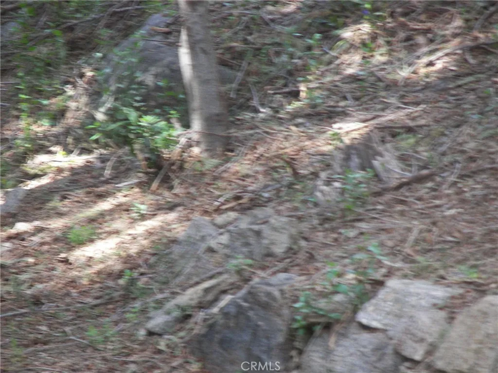 Additional image 73 of 21636 Sawpit Canyon Rd, Cedarpines Park, CA 92322