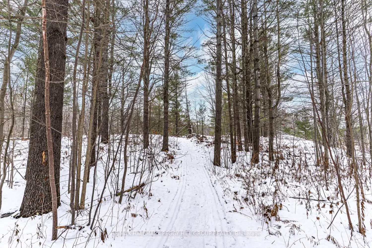 Additional image 14 of 2504 Fairgrounds Road