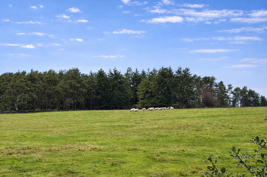 Additional image 32 of Mill of Air, Garlogie, Westhill, AB32 6SA