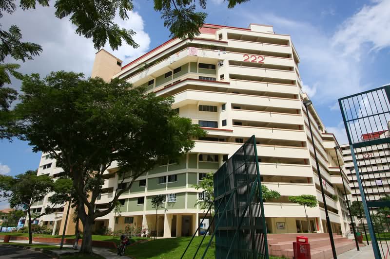 Additional image 15 of 222 Serangoon Avenue 4