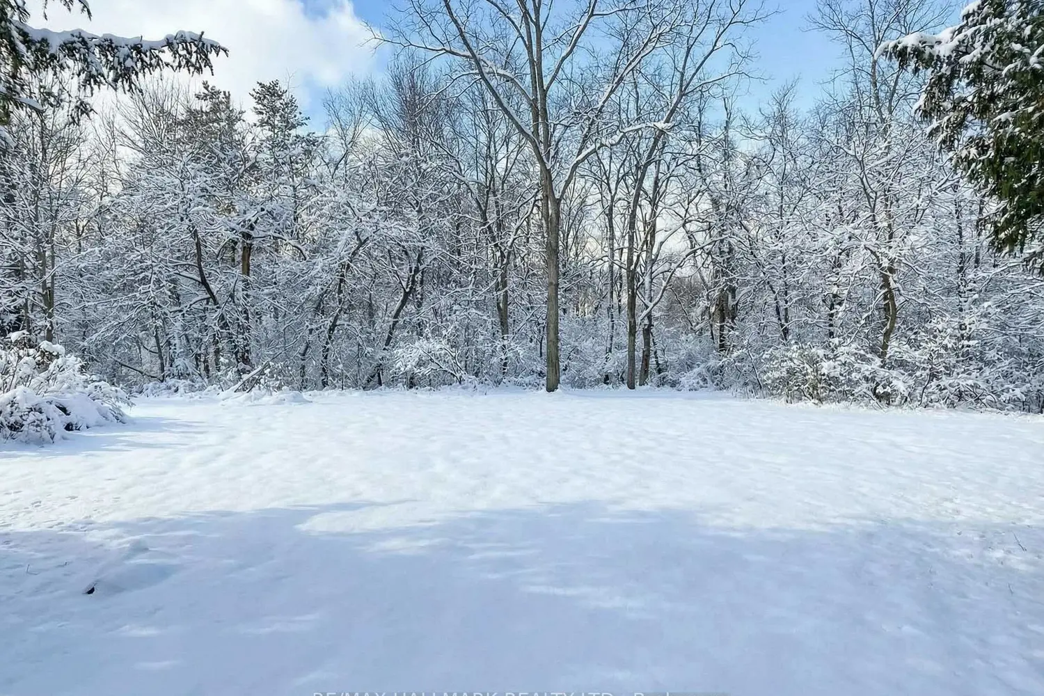 108 Yongehurst Road photo 4