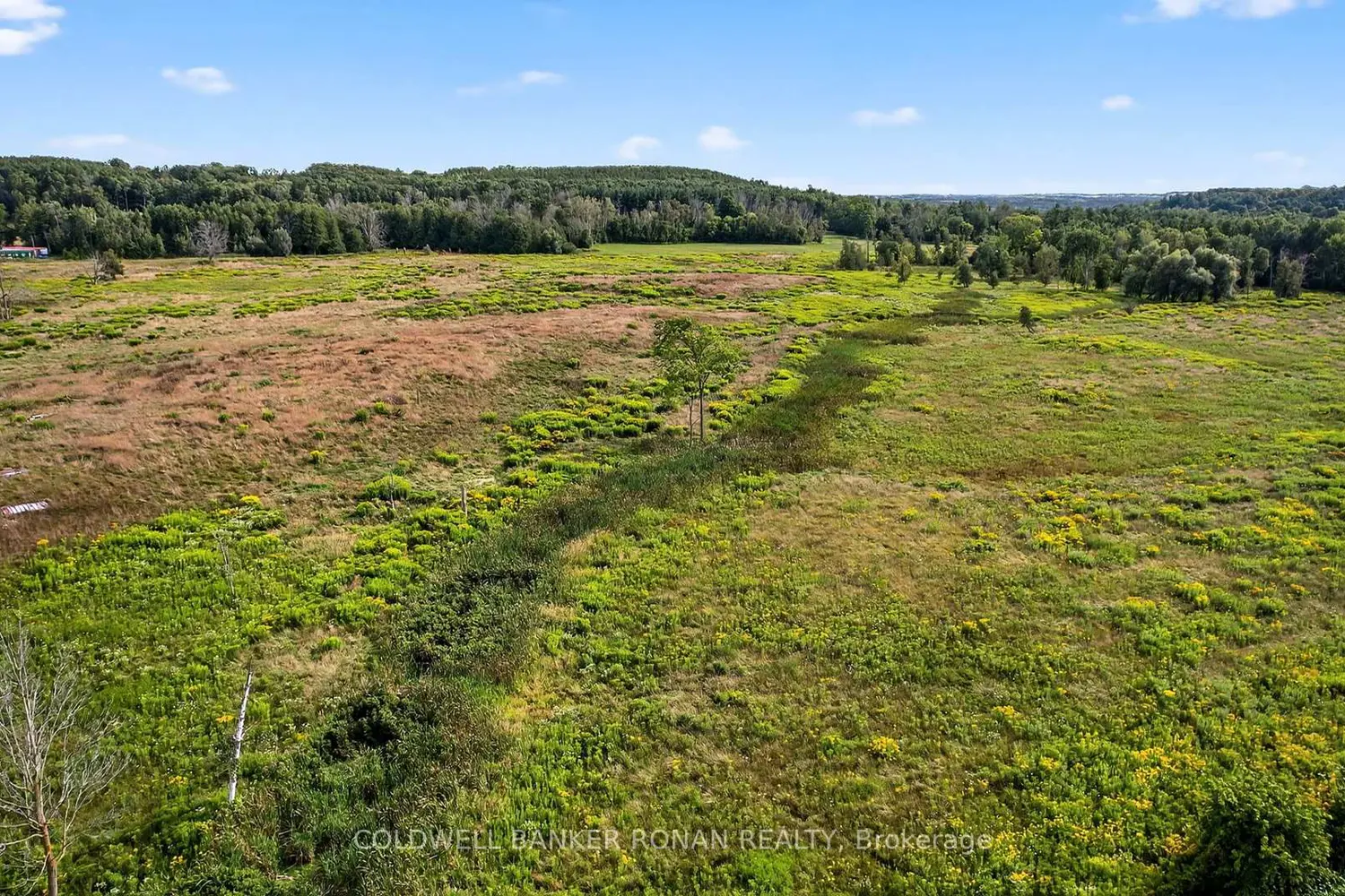 Additional image 16 of 3178 Concession Road 4