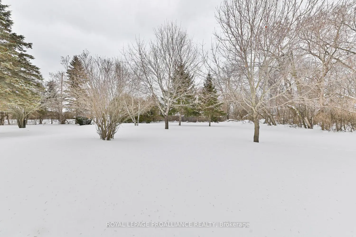 Additional image 14 of 133 Ontario Street