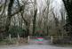Additional image 2 of Callow, Hereford HR2