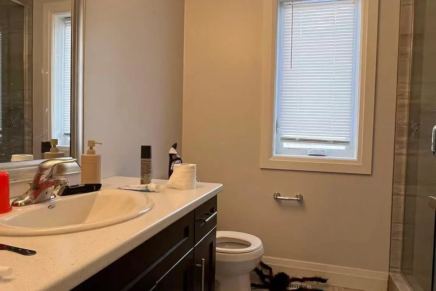 Additional image 7 of 1614 Valhalla Street