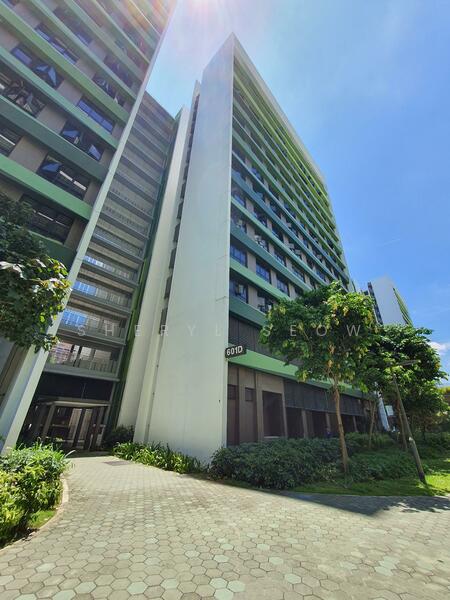 Additional image 9 of 601D Tampines Avenue 9