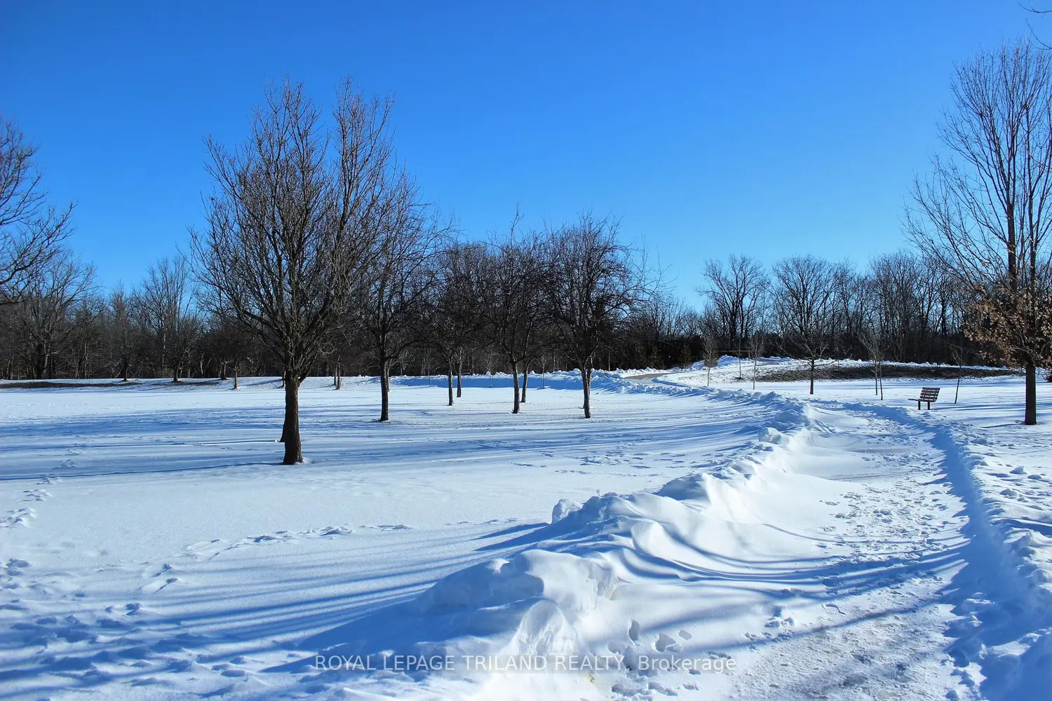 Additional image 14 of 1235 Richmond Street 1116