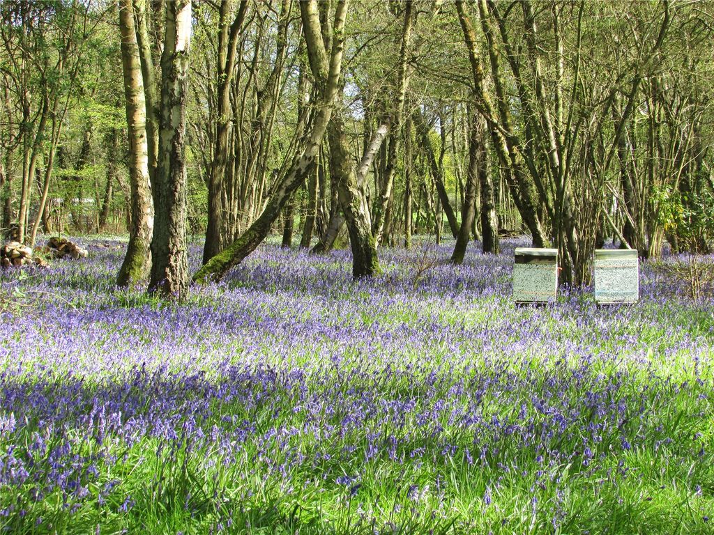 Additional image 11 of Land for saleGolf Club Lane, Piltdown, Uckfield, East Sussex TN22