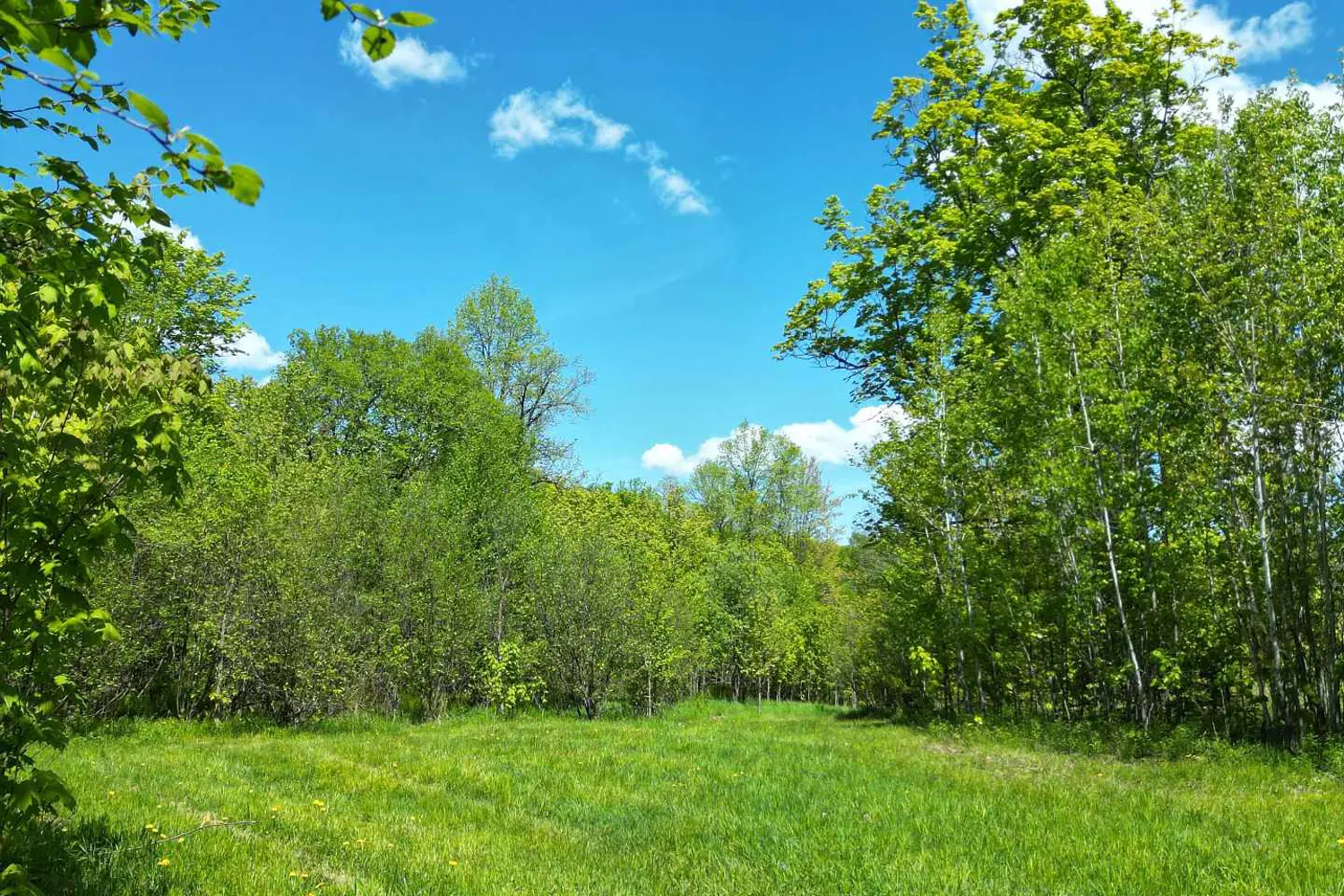 Additional image 7 of 791 Clear Lake Road, Parry Sound Remote Area