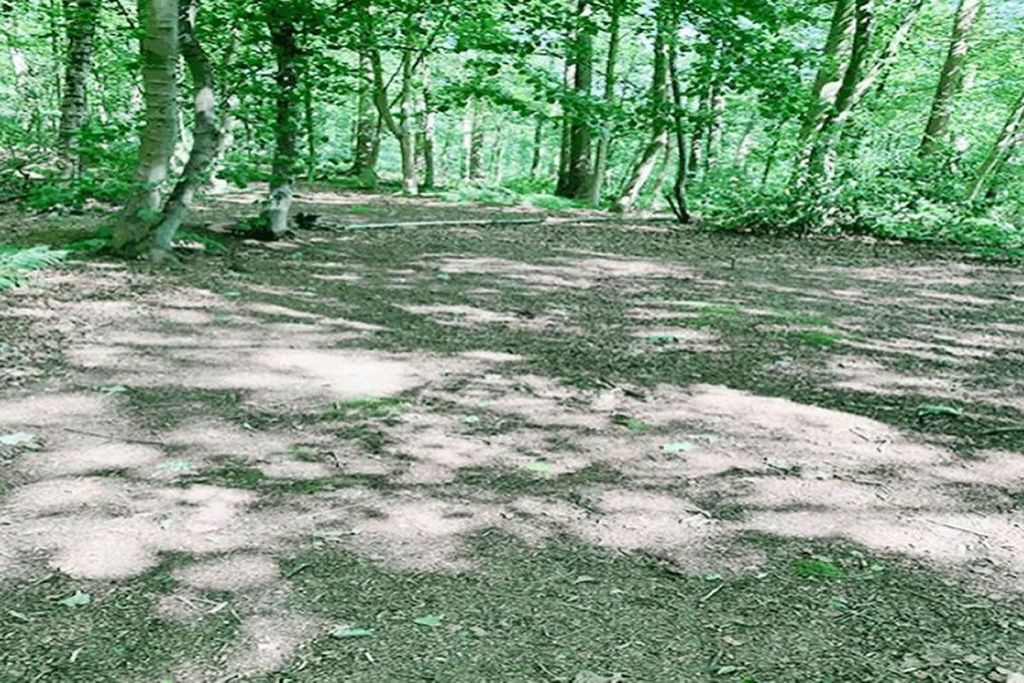 Additional image 5 of Land for salePlot 3, Woodlands Near Cadham Square, Glenrothes KY76Pl KY7