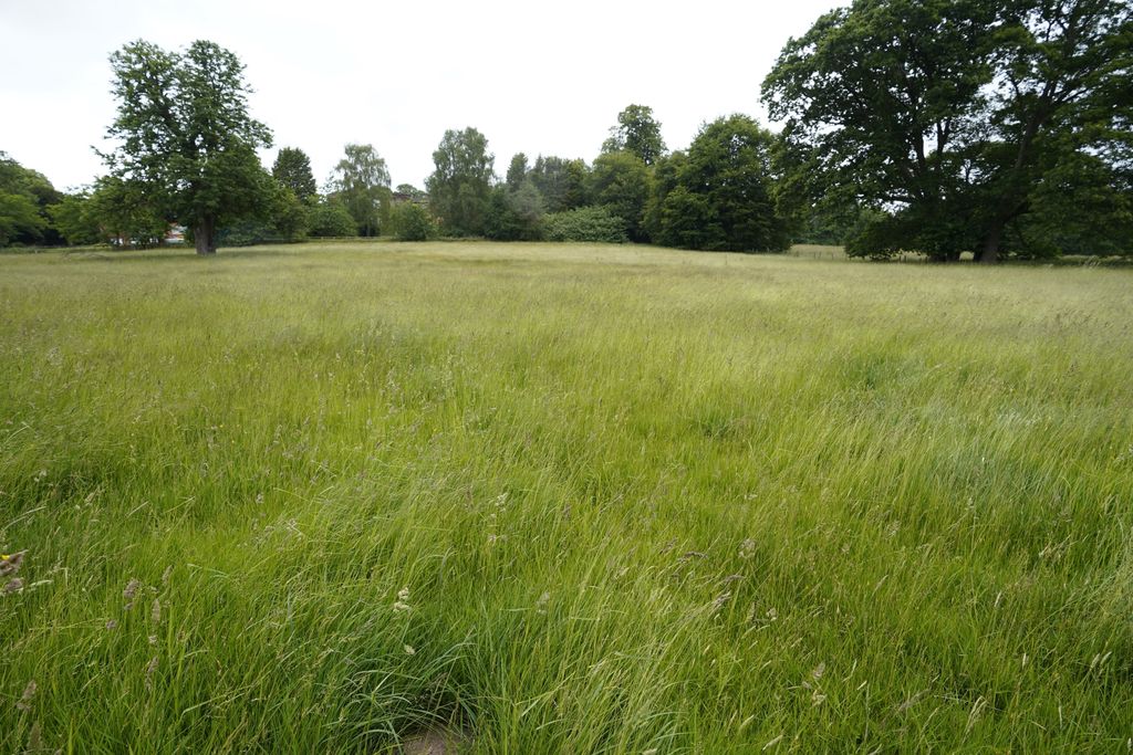 Additional image 4 of Land for saleHollybush Lane, Codsall WV8