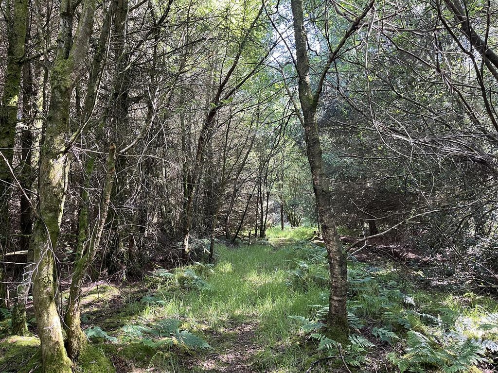 Additional image 9 of Farm for saleNr The Bog, Minsterley, Shrewsbury SY5