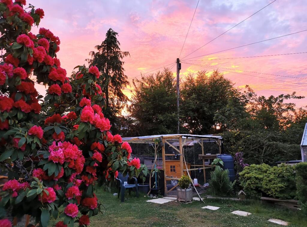 Additional image 39 of Camperdown Road, Aberdeen, AB15