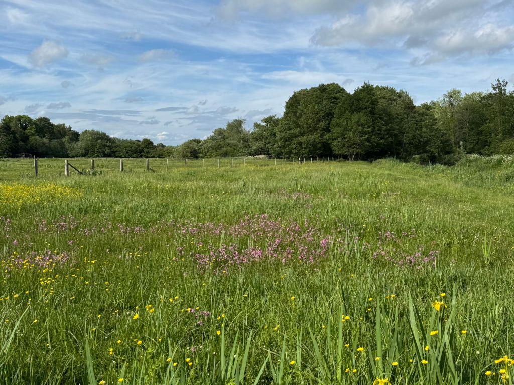 Land for saleKiln Lane, Brambridge SO50