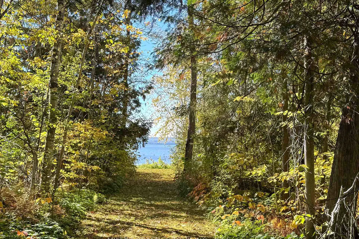 Additional image 5 of 692 Dawson Point Road