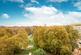 Additional image 11 of Grosvenor Square, Mayfair, London, W1K