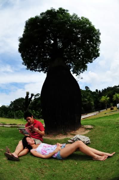 Additional image 30 of 1 Yishun Avenue 1