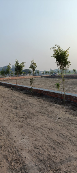 Additional image 2 of Sevai, Lucknow